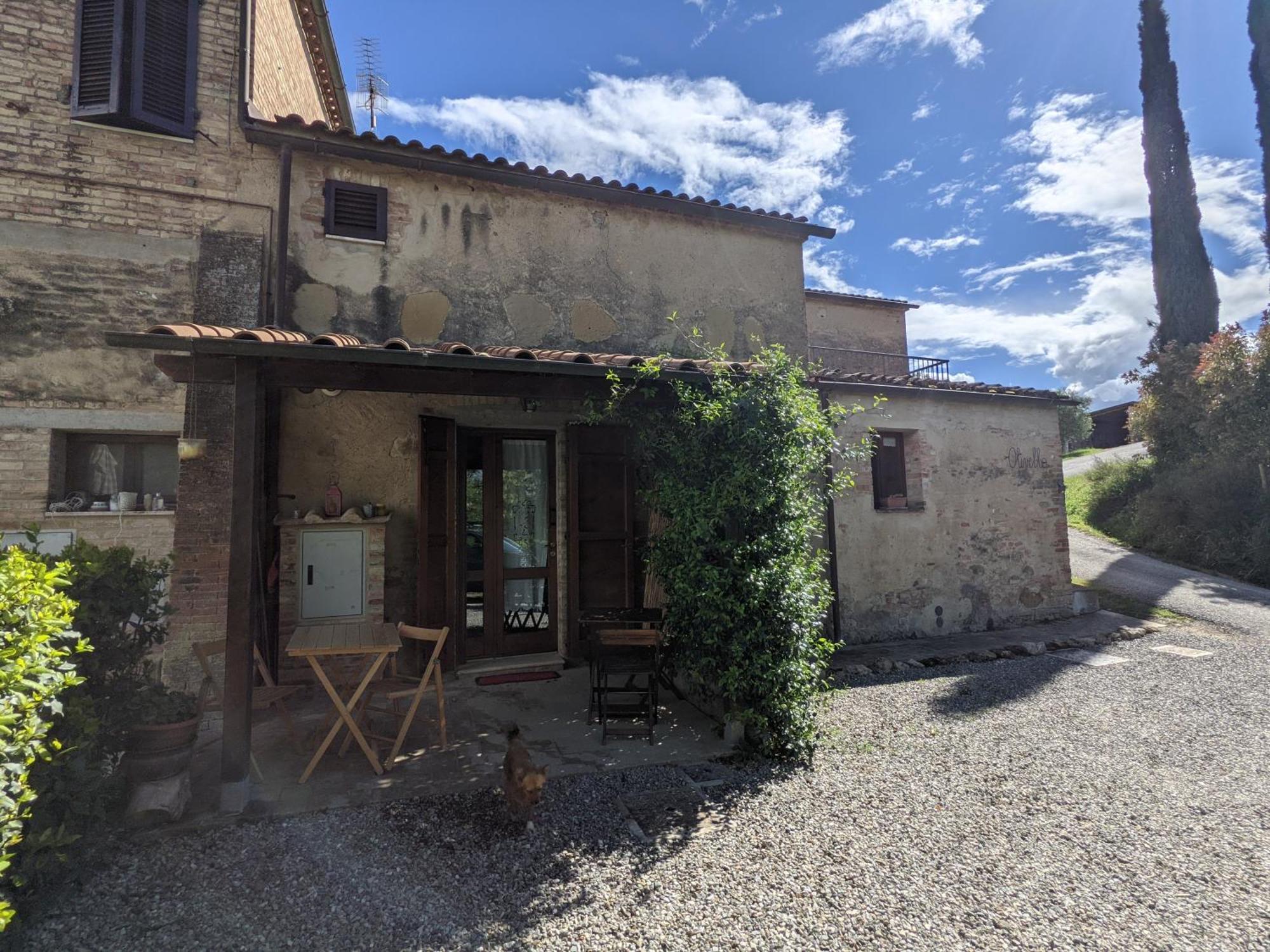 Agriturismo Biofattoria L'Upupa Montalcino Exterior foto